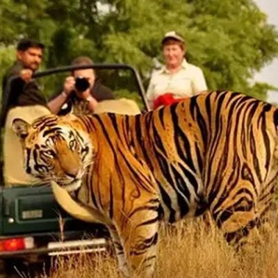 dandeli-jungle-safari